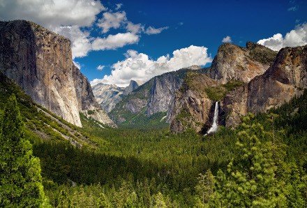 USA/Kalifornien/Yosemite Nationalpark