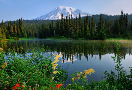 USA/Washington State/Mount Rainier National Park