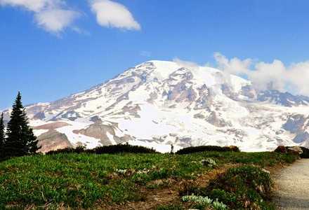 USA/Washington State/Mount Rainier National Park