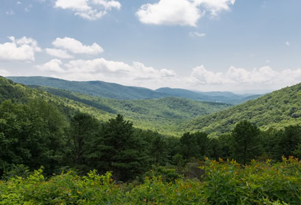 USA/Virginia/Shenandoah Nationalpark