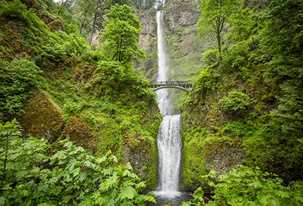 USA/Oregon/Portland/ Wasserfall