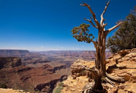 USA/Arizona/Grand Canyon/grandcanyon-1-440