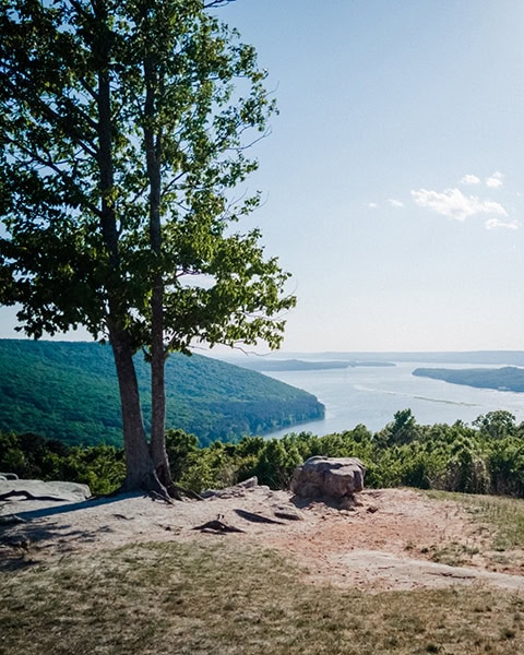 Ein hoher Laubbaum wächst im Vordergrund auf einer felsigen Klippe, von der aus sich ein weiter Blick über bewaldete Berghänge und eine weite Biegung des Tennessee Rivers unter einem strahlend blauen Himmel erstreckt.