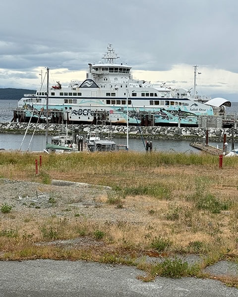 Ein großes, mehrstöckiges, weißes Fährschiff mit der Aufschrift „BCFerries“ und „Salish Orca“ liegt an einer Fähranlegestelle an einer Felsmole. Die Bordwand ist im indigenen First-Nations-Stil mit hellblauen Schwertwal-Motiven verziert. Im Vordergrund erstreckt sich eine leicht ausgetrocknete Grasfläche, dahinter liegen kleinere Boote im Hafenbecken unter einem bewölkten Himmel.