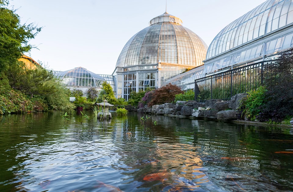 Ein idyllischer Koi-Teich im Vordergrund, in dem sich die majestätische, historische Glaskuppel des Belle Isle Konservatoriums unter einem klaren Abendhimmel spiegelt.