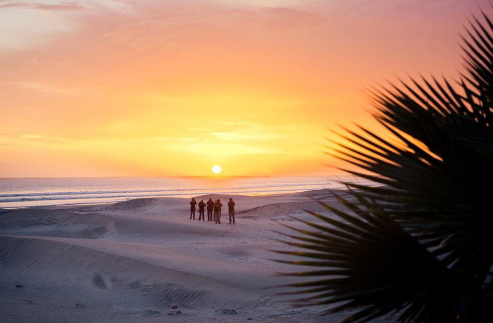 Eine kleine Gruppe von Menschen steht im warmen Licht des Sonnenuntergangs auf den weitläufigen Sanddünen der Magdalena Bay (Bahía de Magdalena) in Baja California Sur, Mexiko. Die untergehende Sonne spiegelt sich glänzend auf der Meeresoberfläche im Hintergrund. Im rechten Vordergrund schieben sich die dunklen, spitz zulaufenden Wedel einer Palme als markante Silhouette ins Bild.