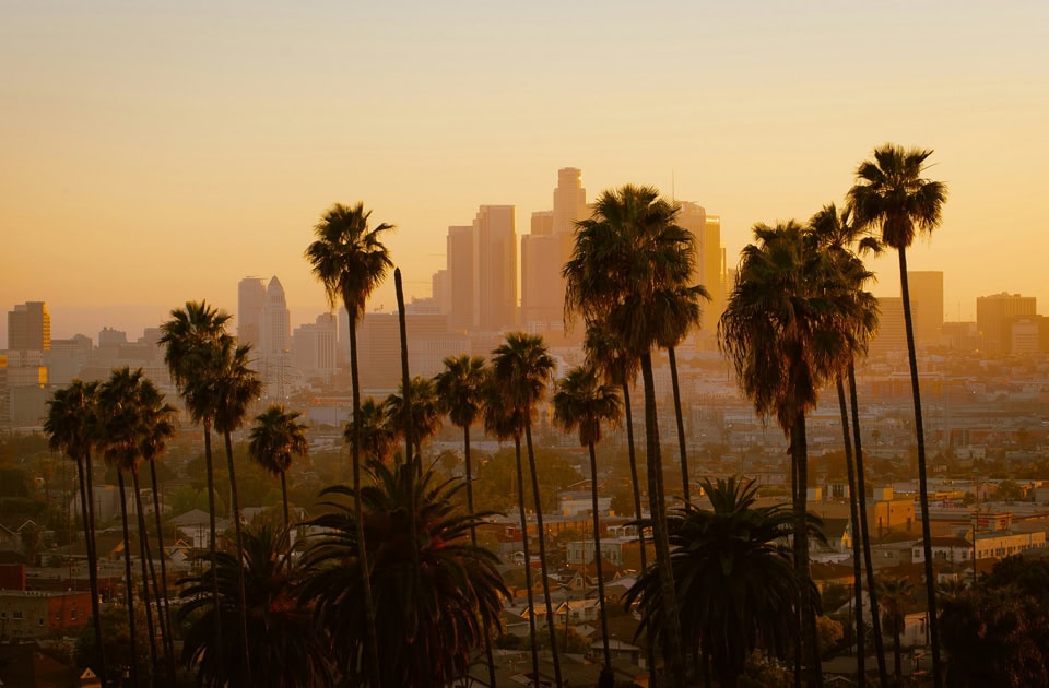 Ein klassischer Blick auf die Wolkenkratzer von Downtown Los Angeles, Kalifornien, während des goldenen Sonnenuntergangs. Im Vordergrund ragen zahlreiche hohe, schlanke Washington-Palmen empor, die die Stadtsilhouette im warmen, dunstigen Abendlicht einrahmen.