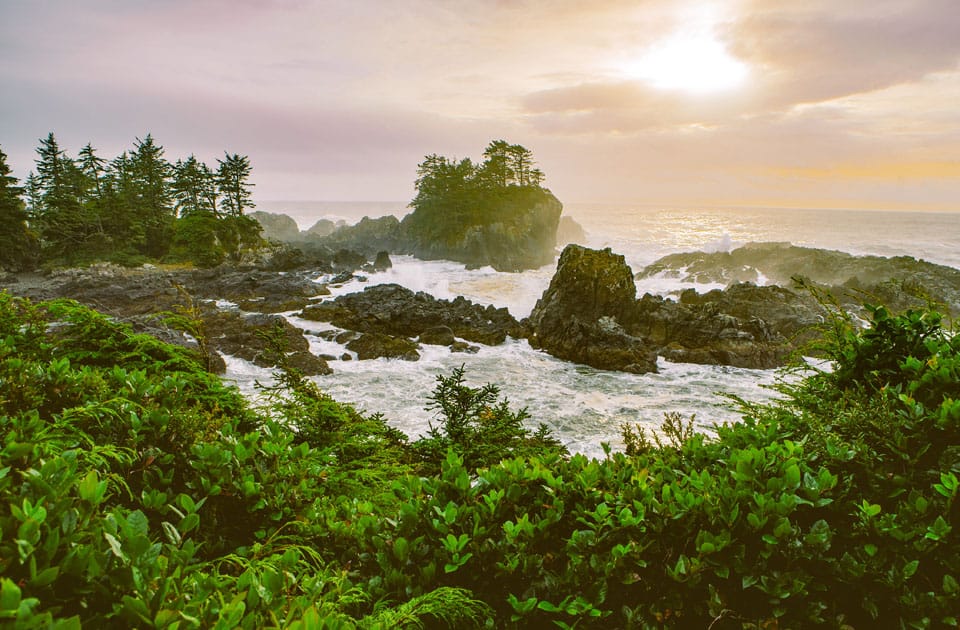 Wild Pacific Trail in Ucluelet British Columbia