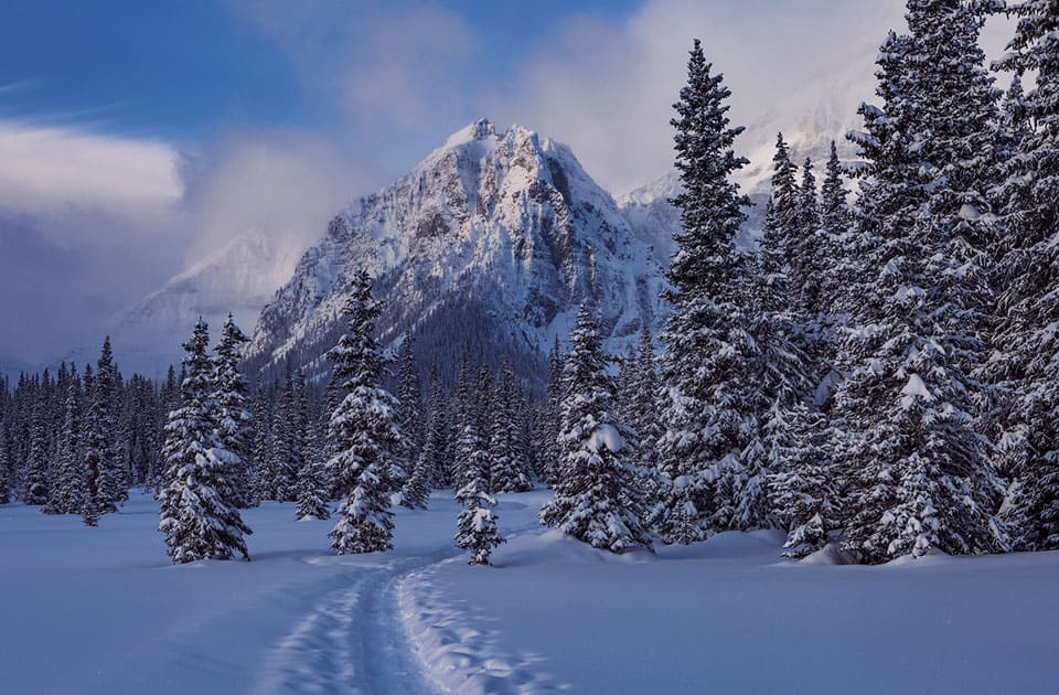 Winterliche Rocky Mountains