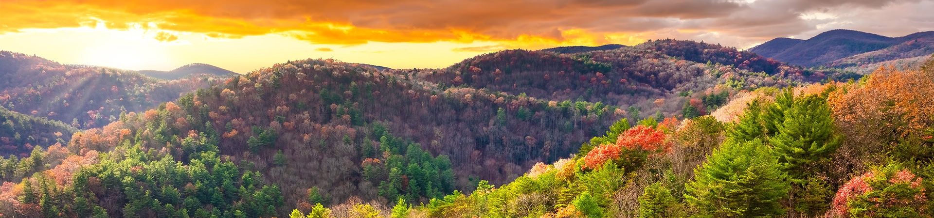 Tennessee Dragon Trail Road Smokey Mountains