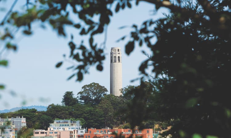 Coit Tower through the trees