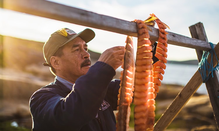 Ein älterer indigener Mann mit einer braunen Mütze hängt in der Abendsonne lange, eingeschnittene Lachsfilets zum Trocknen an ein einfaches Holzgestell im Freien.