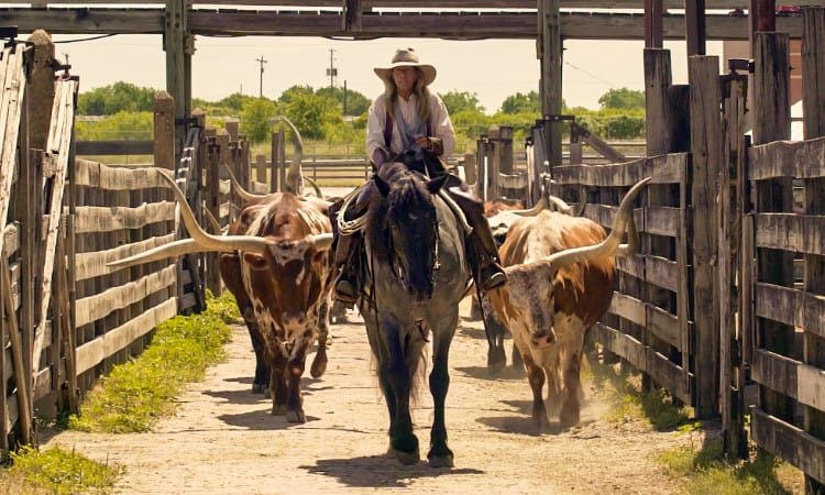 web-Cowboy-Kultur-Option-2-credit-Travel-Texas