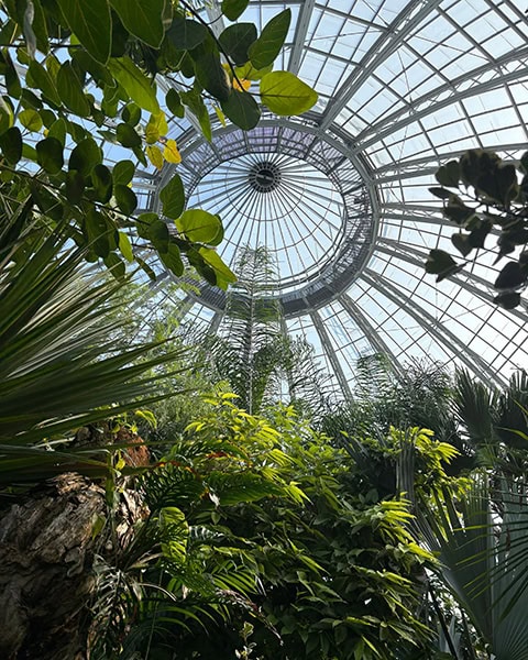 Belle Isle Conservatory