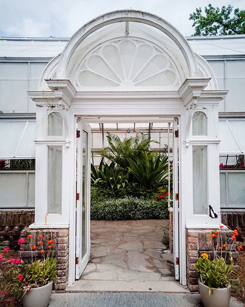 Eine geöffnete, weiße historische Eingangstür mit einem bogenförmigen Giebel führt in das lichtdurchflutete Gewächshaus des Oak Park Conservatory, in dessen Inneren dichte, grüne tropische Pflanzen und Palmen wachsen.