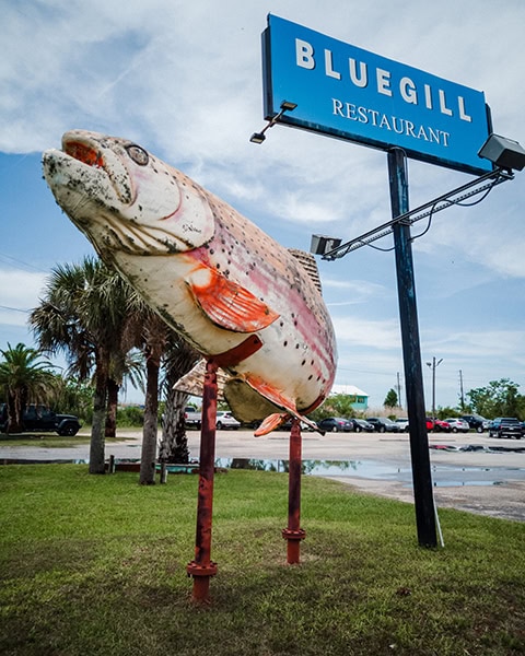 Eine riesige, auf Metallpfählen montierte Fischskulptur steht auf einer Wiese neben einem großen blauen Werbeschild für das Bluegill Restaurant in Spanish Fort, während im Hintergrund Palmen und ein Parkplatz unter bewölktem Himmel zu sehen sind.
