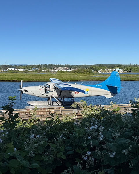 Ein hellgraues Wasserflugzeug mit blau gestrichener Heckflosse und blau-weißen Tragflächen liegt an einem hölzernen Anlegesteg im tiefblauen Wasser. Im Hintergrund erstreckt sich eine grüne Uferlandschaft mit Bäumen unter strahlend blauem Himmel, während im Vordergrund blühende Gebüsche zu sehen sind.