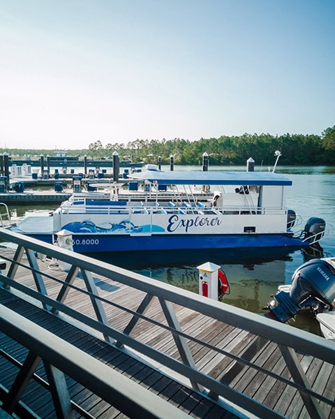 Das weiß-blaue Ausflugsboot „Explorer“ der Cetacean Cruises liegt an der Steganlage im Hafen von The Wharf Marina in Orange Beach, während im Vordergrund eine metallene Brückenrampe zu sehen ist und sich im Hintergrund ein bewaldetes Ufer unter klarem, blauem Himmel erstreckt.