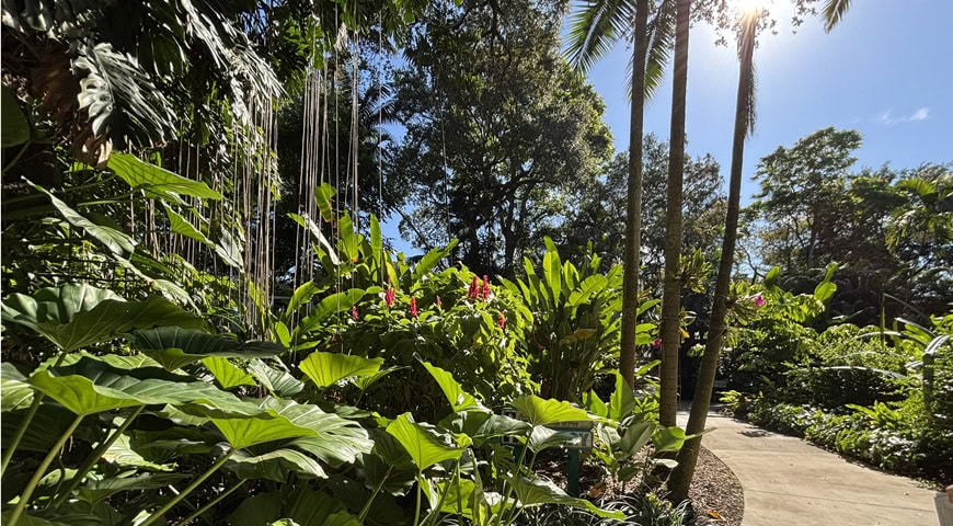 Flamingo Gardens