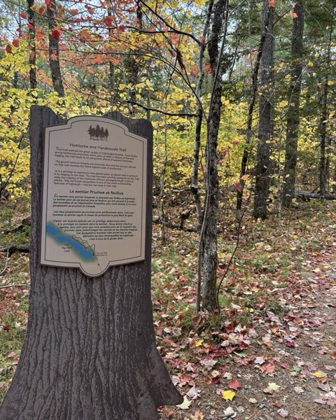 Hemlocks & Hardwoods Wanderung