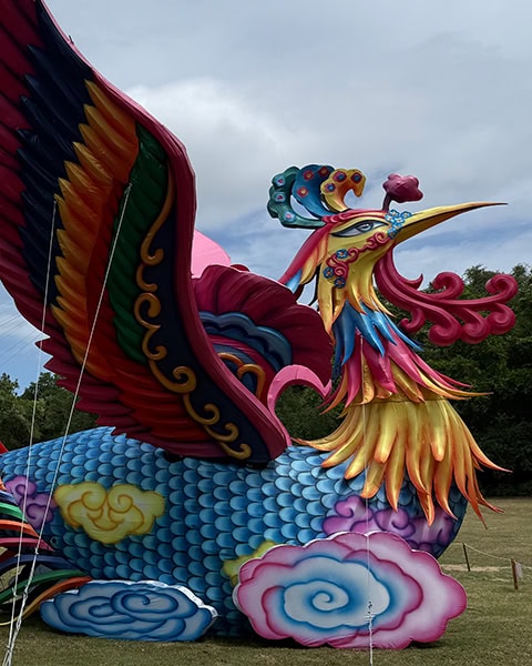 Eine riesige, farbenfrohe und leuchtende Phönix-Skulptur aus Seidenstoff steht auf einer Wiese im Rahmen des Gulf Coast Chinese Lantern Festival in den Bellingrath Gardens and Home, gestaltet mit einem blau geschuppten Körper, weit aufgespannten Flügeln in Regenbogenfarben und stilisierten rosa Wolken am Boden vor einem bewölkten Himmel.