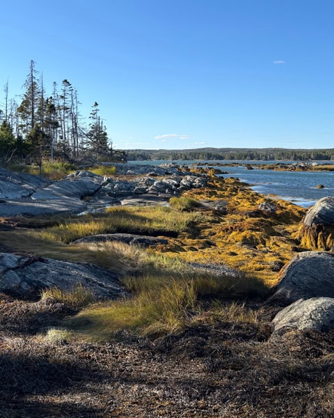 Landschaft an der Cape LaHave