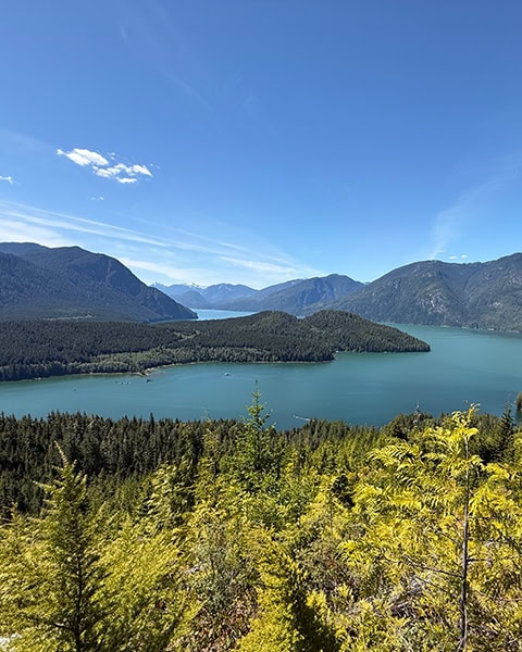 Weite Panorama-Aussicht von oben auf einen großen, verzweigten See mit türkisfarbenem Wasser, umgeben von dicht bewaldeten Bergen unter strahlend blauem Himmel. Im Vordergrund sind grüne Baumkronen und Büsche zu sehen, die ins Bild ragen.