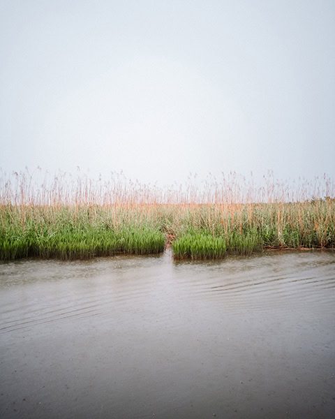 Eine weite Marsch- und Schilflandschaft im Mobile-Tensaw River Delta erstreckt sich entlang eines ruhigen, von leichtem Regen gekräuselten Gewässers, an dessen Ufer dichtes grünes Gras und hohe, vertrocknete Schilfrohre unter einem wolkenverhangenen Himmel wachsen.