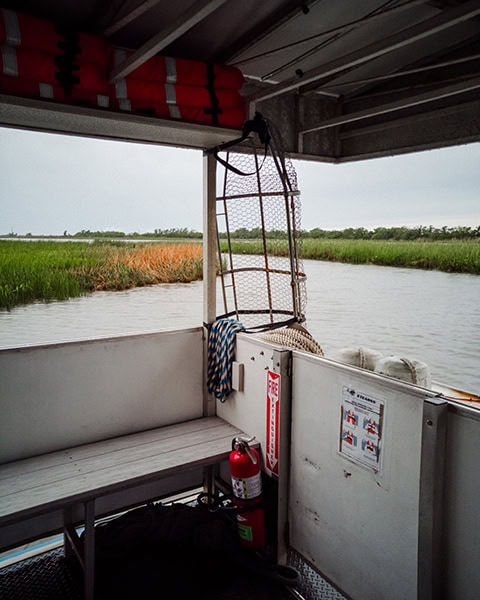 Vom überdachten Passagierbereich eines Ausflugsboots blickt man direkt auf ein breites, ruhiges Gewässer im Mobile-Tensaw River Delta, umgeben von dichten, grünen Schilf- und Marschlandschaften unter einem bewölkten Himmel.
