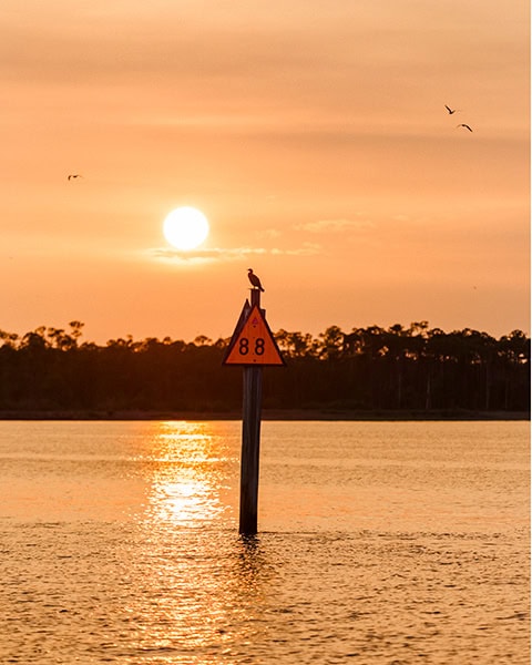 Ein Kormoran sitzt auf einem hölzernen Fahrwassermarkierungspfahl mit der Nummer „88“ im ruhigen Gewässer des Perdido Pass in Orange Beach, während die tiefstehende Sonne den Himmel und das Wasser in ein warmes, goldenes Licht taucht und im Hintergrund Vögel über eine bewaldete Küstenlinie fliegen.