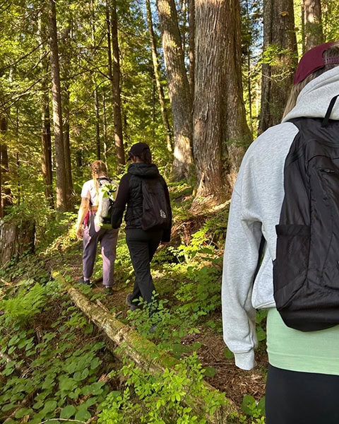 Drei Wanderinnen mit Rucksäcken laufen hintereinander von hinten gesehen auf einem schmalen Pfad durch einen dichten Wald. Sie wandern vorbei an riesigen, alten Baumstämmen im hellen, gefilterten Sonnenlicht, umgeben von grünem Unterholz und Farnen.