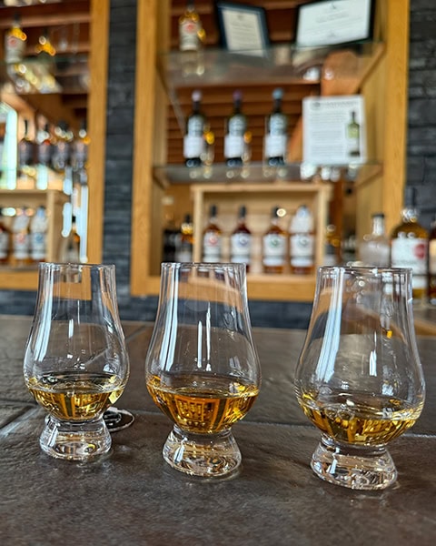 Drei traditionelle Glencairn-Whiskygläser, gefüllt mit goldfarbenem Whisky, stehen nebeneinander auf einem Tresen aus dunklen Steinplatten. Im unscharfen Hintergrund ist das hölzerne Regal des Verkostungsraums zu sehen, in dem zahlreiche Schnapsflaschen ausgestellt sind.