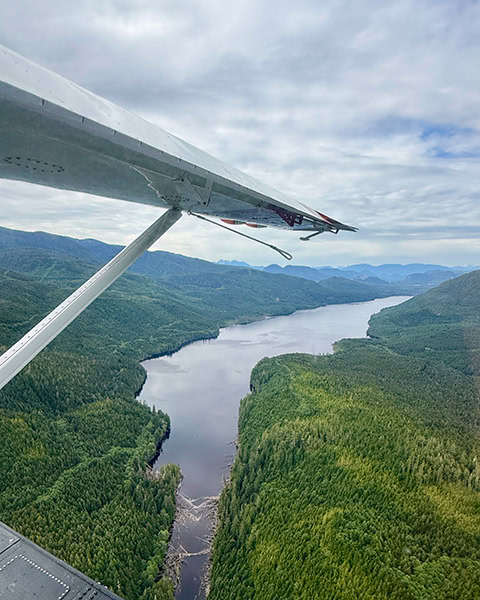 Blick aus dem Fenster eines Wasserflugzeugs. Die weiße Tragfläche ragt ins Bild. Darunter erstreckt sich ein schmaler, langgezogener See inmitten dichter, grüner Nadelwälder und sanfter Bergketten unter einem bewölkten Himmel.