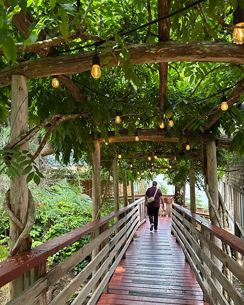 Ein Mann läuft von hinten gesehen über einen von Geländern gesäumten Holzsteg. Der Steg führt unter einer hölzernen Pergola hindurch, die dicht mit grünen Kletterpflanzen und Blättern bewachsen ist. Zwischen den Balken und Blättern hängen mehrere warm leuchtende Glühbirnen einer Lichterkette.